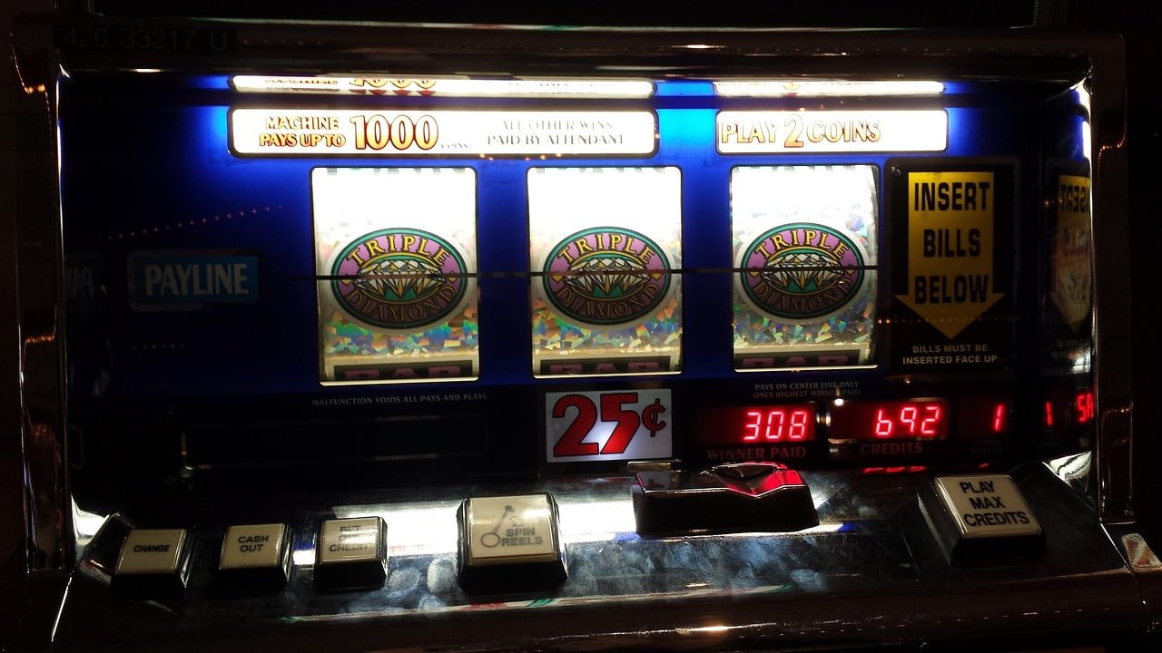 betdog slot