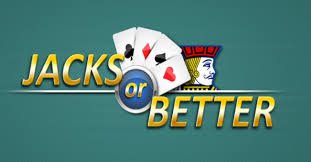 betdog slot
