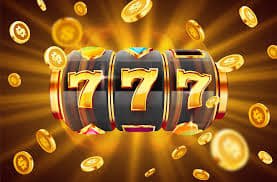 betdog slot